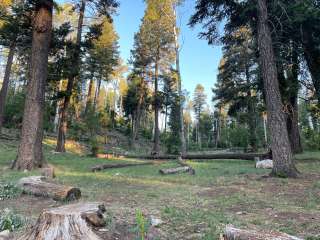 Sleepy Grass Campground