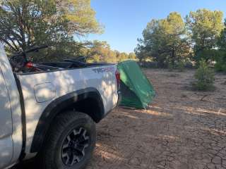 Carson NF - Forest Service Road 578 - Dispersed Camping