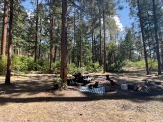 Borrego Mesa Campground