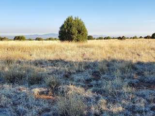 Black Canyon Campground - Lower