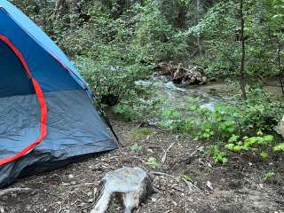 Arroyo Seco Dispersed NF Camping