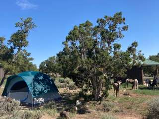 BLM Wild Rivers Recreation Area