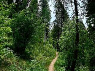 Panchuela Campground and Trailhead