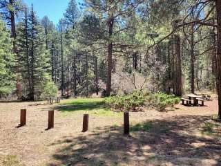 Coyote Canyon Camping Area