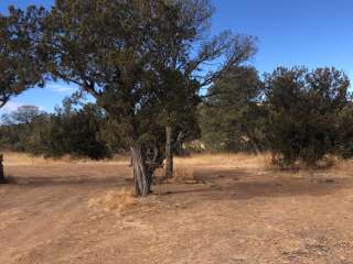 West Mesa Trailhead BLM Dispersed