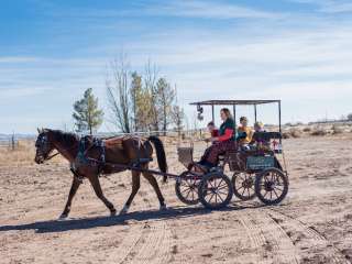 SaddleHawk Ranch