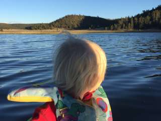 Cove - Quemado Lake