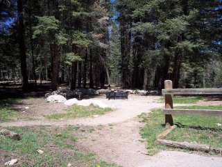 Black Bear Group Campground