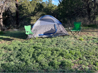 Ponderosa Pines Basecamp