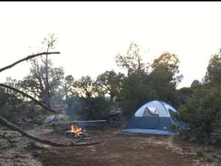 Navajo Lake Relax Wild-u-can (group campsite) 