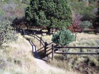 Dog Canyon Campground — Guadalupe Mountains National Park