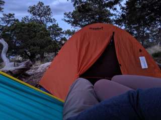 Guadalupe Peak Wilderness Campground — Guadalupe Mountains National Park