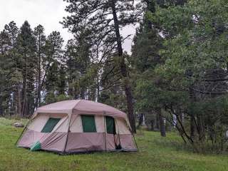 Pines Group Campground