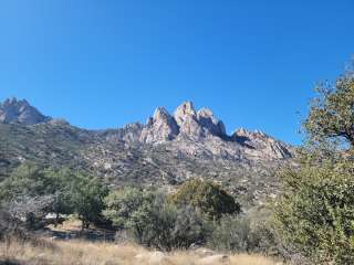 Organ Mountains Campground