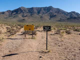 Baylor Canyon Rd Dispersed Site