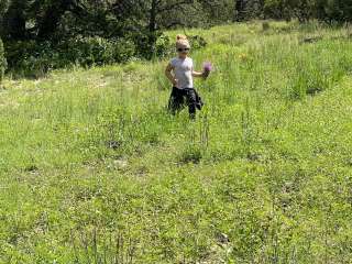 Burro Mountain Homestead 