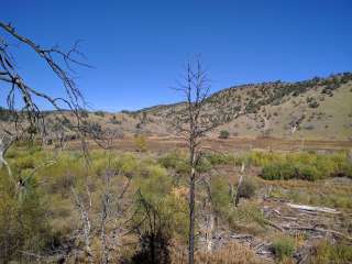 Military Road Trailhead - Gila National Forest