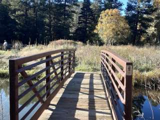 Maverick Campground — Cimarron Canyon State Park