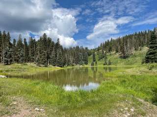 Upper Lagunitas Campground