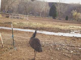 Tooker farm