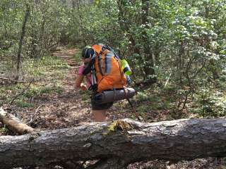 Bartram Trail Campground Past Wayah Bald 