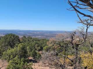 Cedar Springs Campground