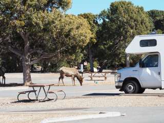 Trailer Village RV Park — Grand Canyon National Park