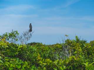 Watch Hill Family Campground — Fire Island National Seashore