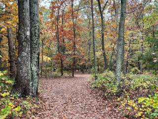 Cathedral Pines County Park