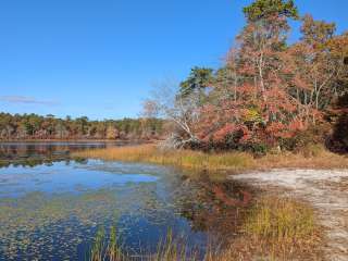 Suffolk County Sears Bellows County Park