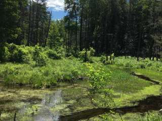 Lower Lake Campground Northwoods Area — Promised Land State Park