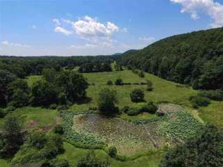 Chestnut Hill Farm