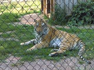 Bailiwick Animal Park & Riding Stables