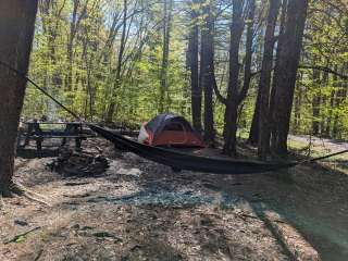 Allaben Primitive Campsites