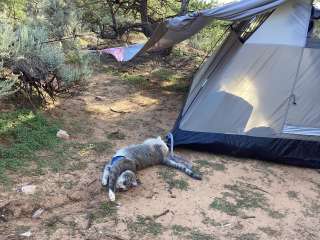 Navajo National Monument Sunset View Campground