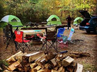 Dingmans Campground — Delaware Water Gap National Recreation Area