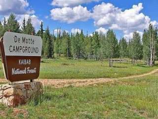 DeMotte National Forest Campground