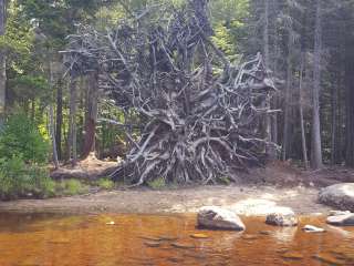 Lake Durant Adirondack Preserve