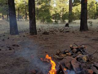 Lockett Meadow Dispersed Camping