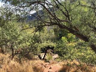 Clear Creek Area Dispersed — Grand Canyon National Park