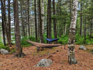 Cranberry Lake Backcountry Sites