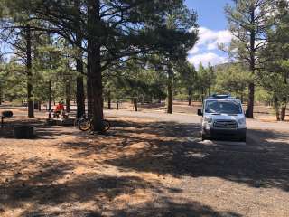 Bonito Campground — Sunset Crater National Monument