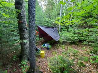 Lillian brook campground