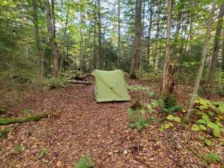 Ward Brook Campsite