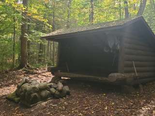 Blueberry lean-to campground