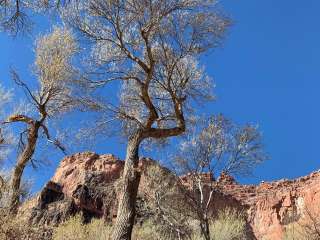 Havasupai Gardens Campground — Grand Canyon National Park