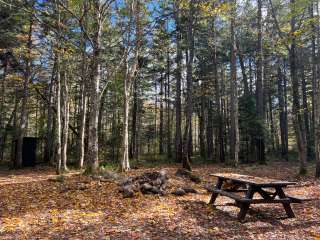 Powley Road in Ferris Wild Forest