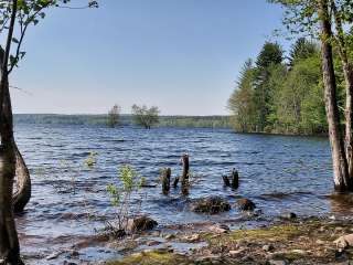 Hall Island State Forest