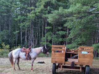 Ben Wever Farm