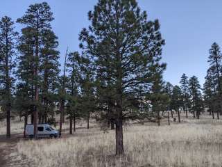 Dispersed Camping around Sunset Crater Volcano NM